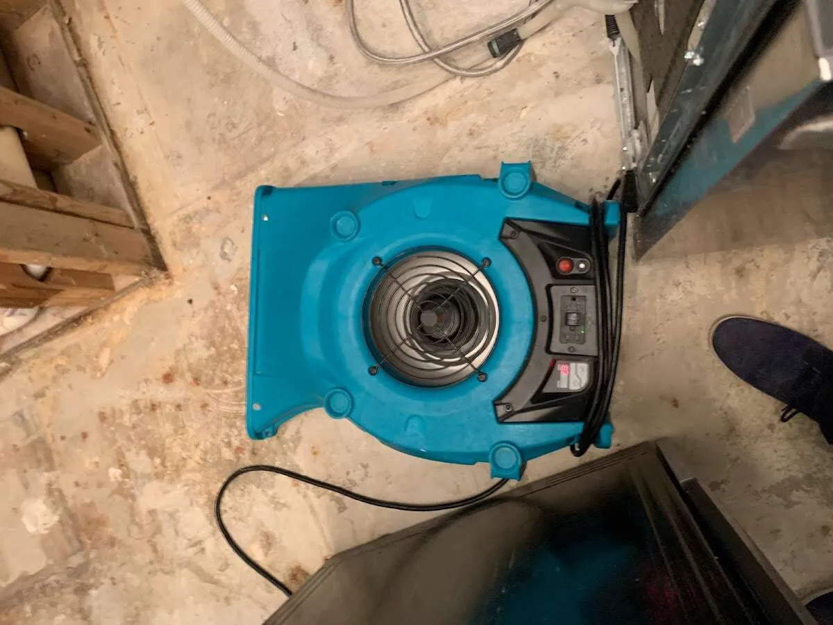 Air mover drying equipment for Mold Remediation & Removal in Woodstock